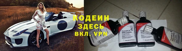 спиды Арсеньев
