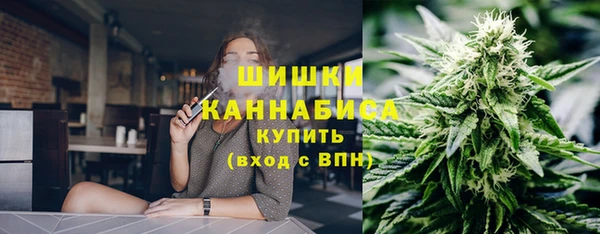бошки Аркадак