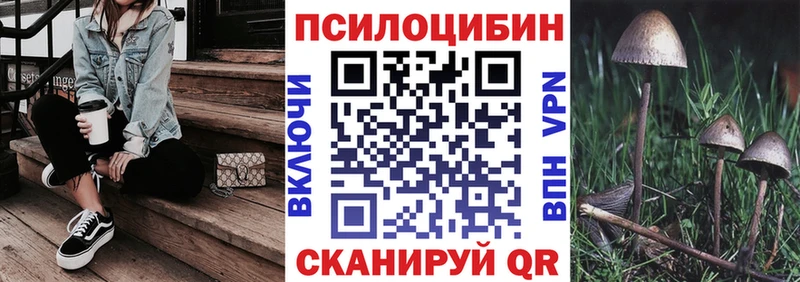 где продают наркотики Арск Галлюциногенные грибы мицелий